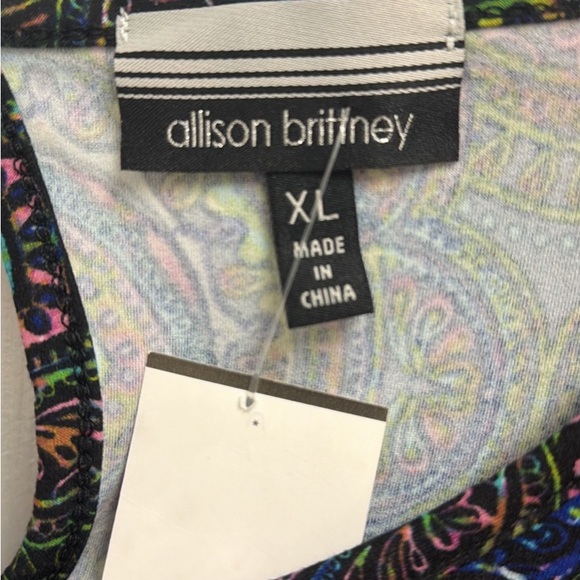 Allison Brittney Multicolor Paisley Dress XL NWT - Picture 4 of 5